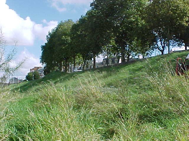 71 - LE BORD DU FLEUVE.jpg